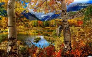Mountain lake autumn foliage impressionist - fall foliage free wallpaper