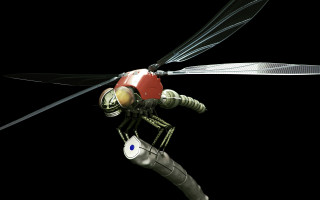 Flying insect redhead blueeyes biomachine - enki bilal free wallpaper