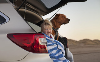 Boy dog car towel photorealism - a boy free wallpaper