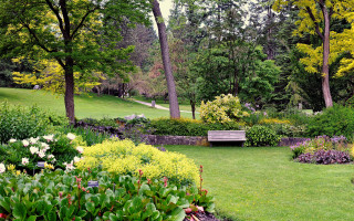 Lush green park bench flowers - a park bench free wallpaper