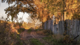 Dirt road wooden fence autumn - free other wallpaper