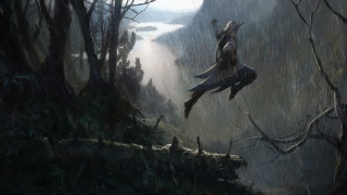 Bird forest lake cliff person - a cliff free wallpaper
