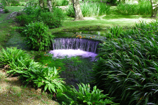 Small waterfall garden pond plants - impressionist free wallpaper