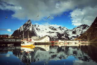 Harbor mountains birds sky boat - a harbor free wallpaper