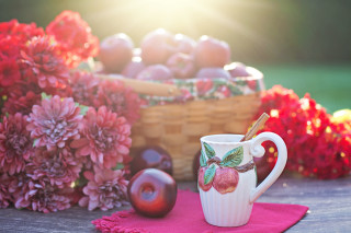 Fruit cup autumn basket flowers - a table cloth free wallpaper