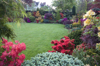 Garden lawn flowers house trees - a house in the background free wallpaper