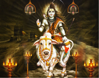 Person riding cow cave candles - an oil free wallpaper