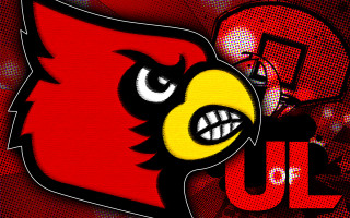 Cardinal basketball uu foreground head - 4 k wallpaper free wallpaper