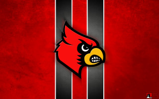Red black wall red bird - vector art free wallpaper