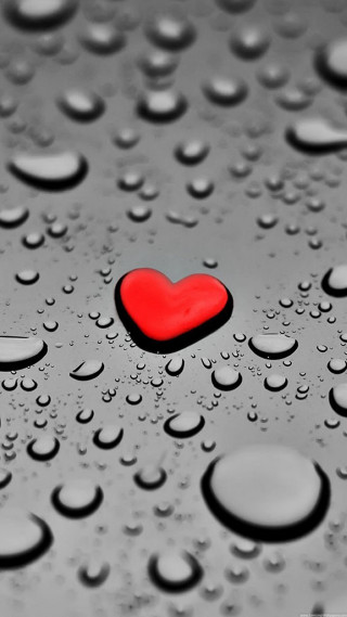 Red heart wet surface water - wet free wallpaper