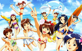 Women surfboard dolphin beach fun - suit free wallpaper