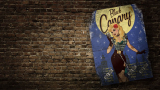 Brick wall black canary woman - western free wallpaper