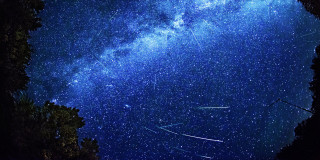 Night sky shooting star trees - a mosaic free wallpaper