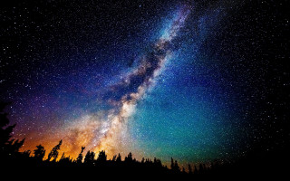 Night sky bright star tree - a photo free wallpaper