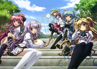 Anime girls sitting steps cat - their hand and a cat free wallpaper