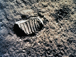Shoe moon forest tree hole - a shoe free wallpaper