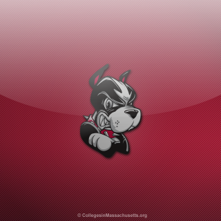 Cartoon character red background bear - allan brooks free wallpaper