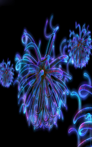Blue pink lighted flower petals - a computer free wallpaper