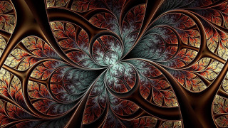 Flower petals leaves center computer - smaller free wallpaper