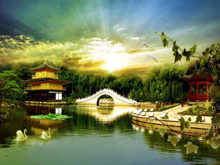 Bridge lake swans building sunset - a building in the background free wallpaper