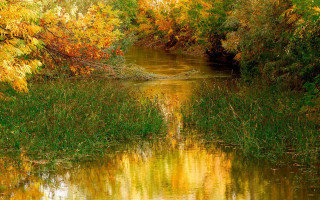 River trees leaves bushes grass - impressionist painting free wallpaper