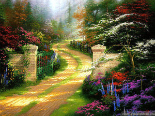 Pathway forest flowers trees gate - flower and trees free wallpaper