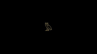 Black gold owl sitting black - a black surface free wallpaper