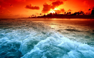 Sunset ocean waves beach palm 4 - a sunset over the ocean free wallpaper