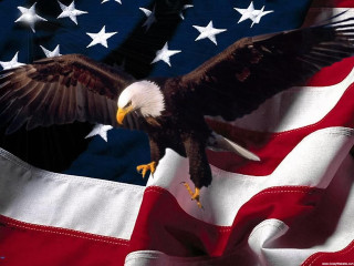 Eagle flying flag stars white - back side free wallpaper