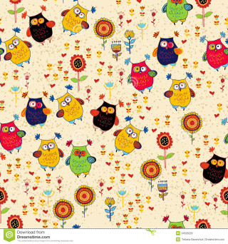 Colorful owls flowers white yellow - high free wallpaper