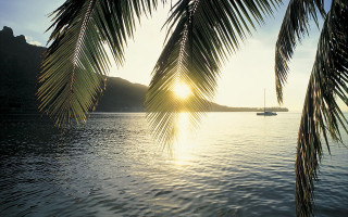 Boat palm tree mountain sunshine - the leaf free wallpaper
