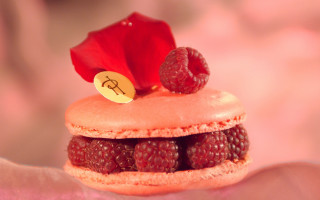 Small pastry raspberries flower top - delaunay free wallpaper