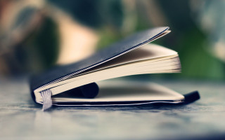 Book opened table blurry plant 2 - a book free wallpaper