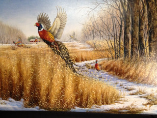 Bird flying wheat field winter - a person in the background free wallpaper