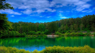 Lake forest boat bushes blue - tree and a forest free wallpaper
