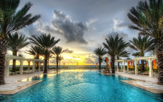 Large swimming pool palm trees - palm tree and a sunset in the background free wallpaper