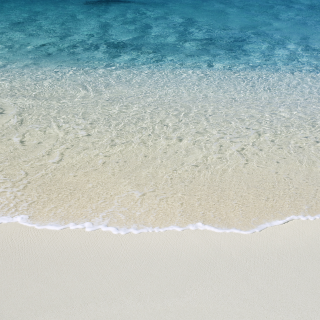 Beach wave person sand surfboard - free bikini wallpaper