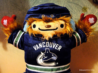 Stuffed animal vancouver hockey jersey - two hand free wallpaper