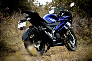 Blue motorcycle grass flowers bush - a field of grass free wallpaper