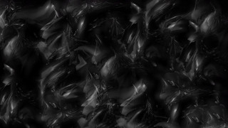 Black white leaves wall blurry - bedwyr williams free wallpaper