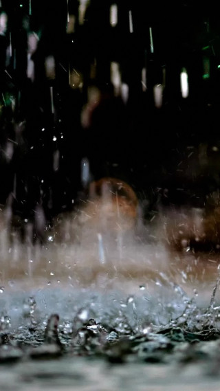 Rain droplets building green light - water droplet free wallpaper