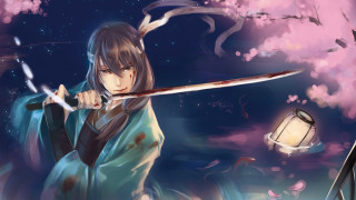 Woman sword lantern cherry blossom - detailed free wallpaper