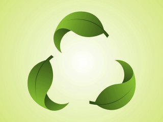 Green recycle leaves nature eco - green background free wallpaper
