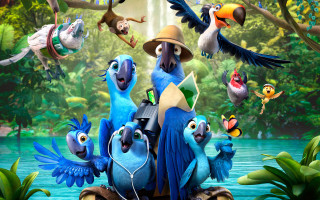 Birds luggage forest nature pokemon - a group of birds free wallpaper
