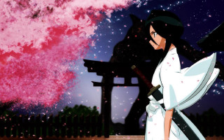 Woman white dress sword pink 3 - analytical free wallpaper