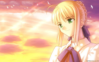 Blonde woman ponytail sunset sky - overhead free wallpaper