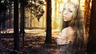 Woman forest bench background face - photorealistic imagery free wallpaper