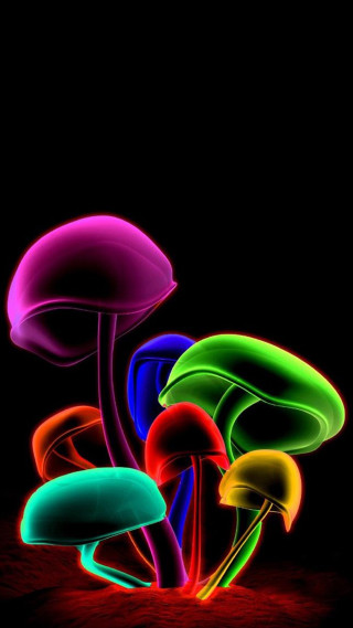 Glowing mushrooms night sky group - the dark night sky free wallpaper