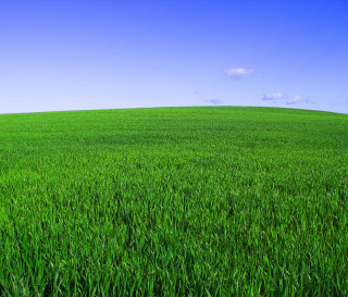 Green grass blue sky clouds 11 - green grass free wallpaper for desktop