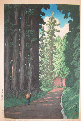 Person walking road forest tall - tall free wallpaper
